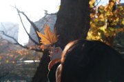 秋をひろった日。
