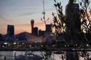 自然と共に生きる港町