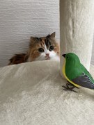 お友達になれるかな？