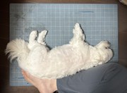 こっち見て