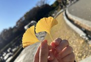 仲良しの秋